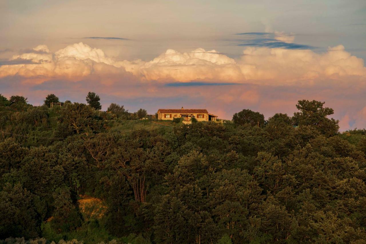 Casetta Tartuchino Holiday home Semproniano